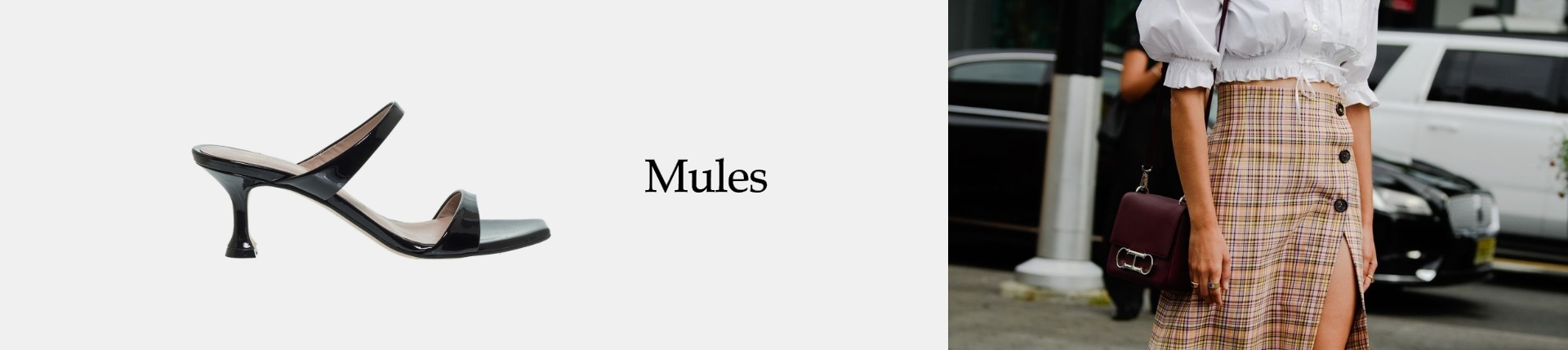 MULES